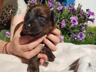 Our little princess❤️ - 2 week old